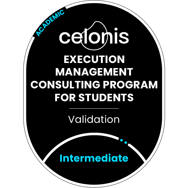 Execution Management Consulting